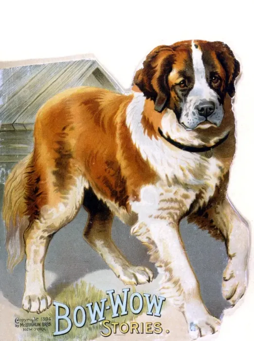 Framed Print : St Bernard on Book Cover Framed Print : St Bernard on Book Cover