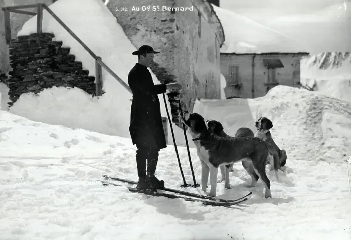 Framed Print : St Bernard dogs and monk on skis, Grand St Bernard Framed Print : St Bernard dogs and monk on skis, Grand St Bernard