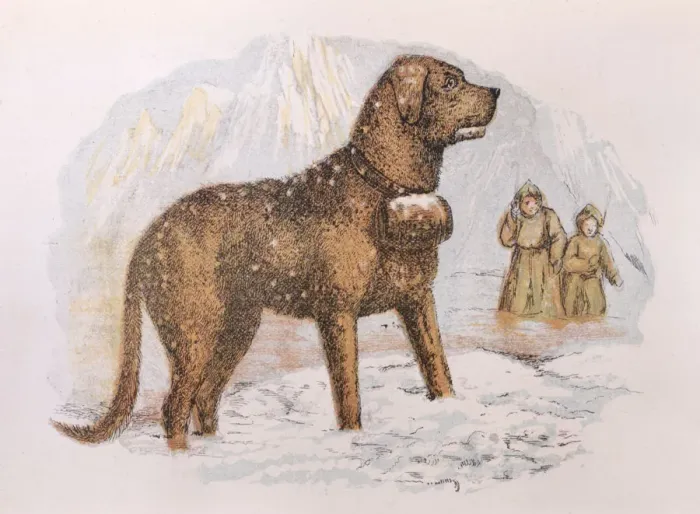 Framed Print : A St Bernard rescue dog stands in the Alpine snow while more snow falls Framed Print : A St Bernard rescue dog stands in the Alpine snow while more snow falls