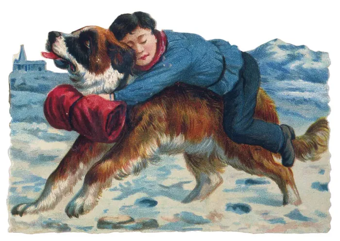 Framed Print : ST BERNARD RESCUES BOY Framed Print : ST BERNARD RESCUES BOY