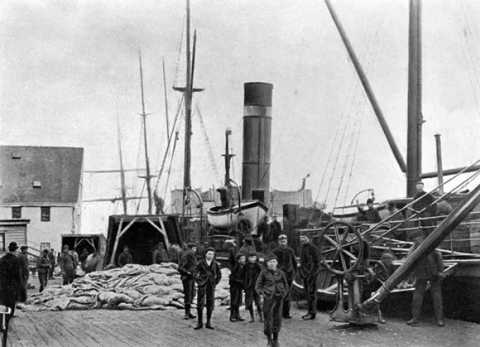 Framed Print : St. Johns, Newfoundland, Canada - Sealer unloading catch Framed Print : St. Johns, Newfoundland, Canada - Sealer unloading catch