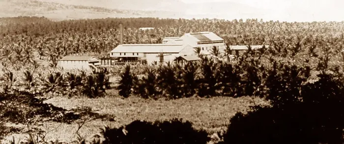 Framed Print : St Mary sugar can factory, Jamaica