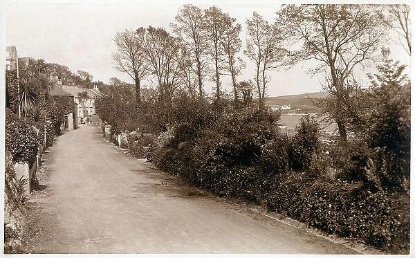 St Mawes, Cornwall - Country road along the shoreline