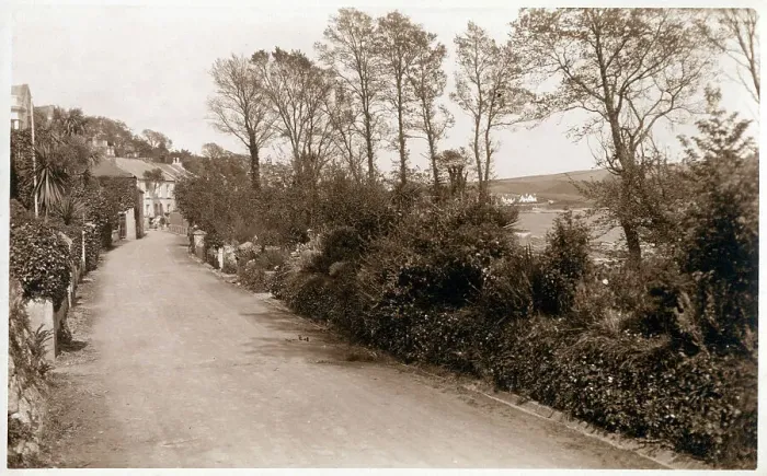 Framed Print : St Mawes, Cornwall - Country road along the shoreline Framed Print : St Mawes, Cornwall - Country road along the shoreline