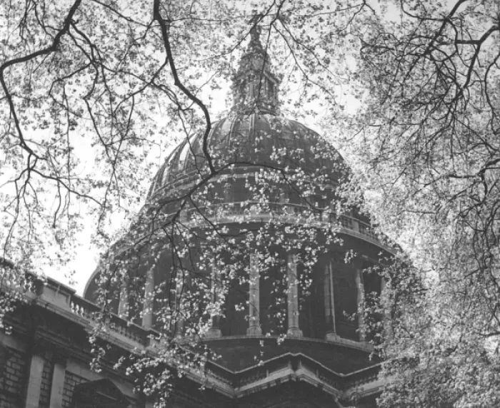Framed Print : St Pauls Cathedral thro spring foliage Framed Print : St Pauls Cathedral thro spring foliage