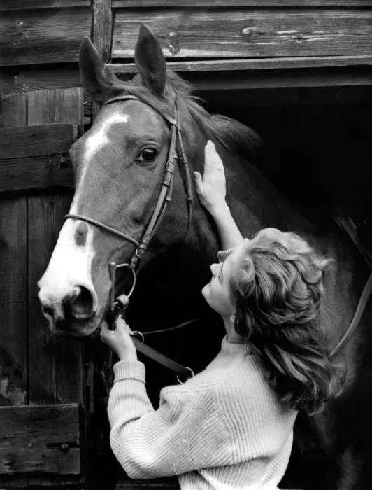 Framed Print : Stable girl with a horse Framed Print : Stable girl with a horse