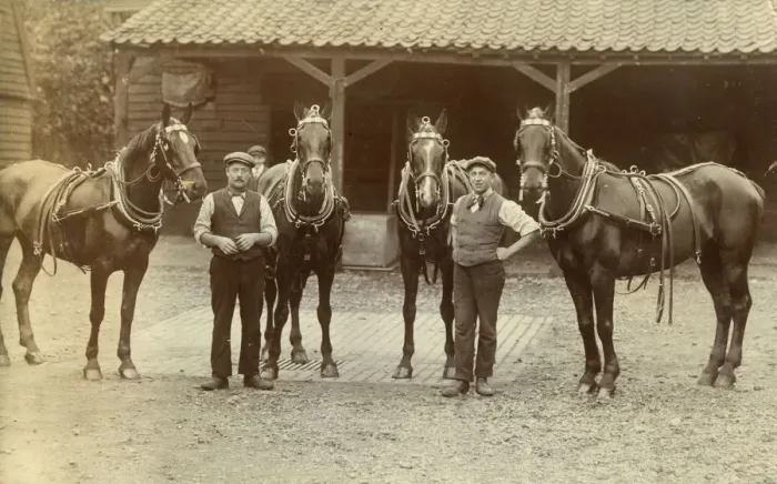 Framed Print : Two stable grooms with four beautiful carriage horses Framed Print : Two stable grooms with four beautiful carriage horses