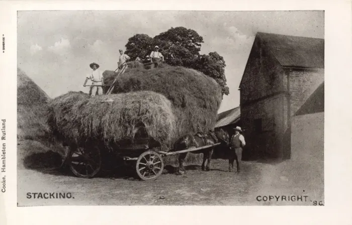 Framed Print : Stacking hay on a horse-drawn cart Framed Print : Stacking hay on a horse-drawn cart