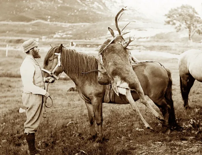 Framed Print : Stag hunting in Scotland, Victorian period