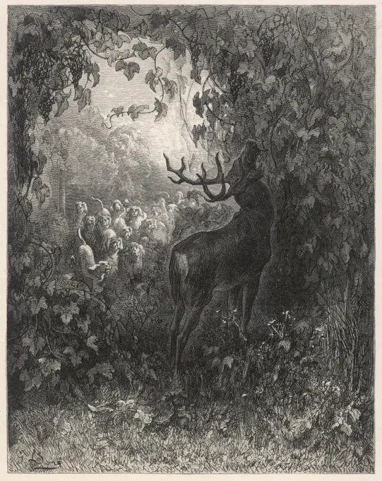 Framed Print : The Stag and the Vine Framed Print : The Stag and the Vine