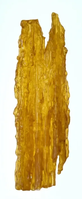 Framed Print : Copal. Stalactite of New Zealand copal locally known as kauri gum Framed Print : Copal. Stalactite of New Zealand copal locally known as kauri gum