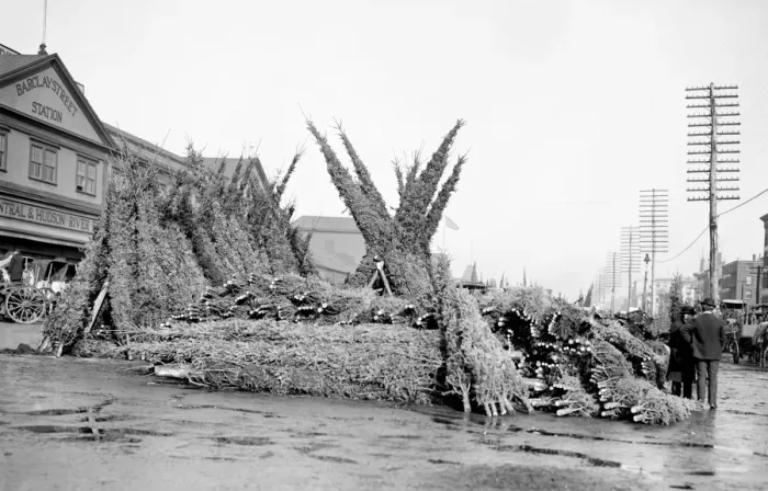 Framed Print : Stall with cut Christmas trees at market - Barclay Street St
