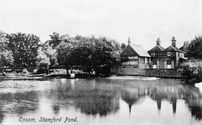 Framed Print : Stamford Pond, Epsom, Surrey Framed Print : Stamford Pond, Epsom, Surrey