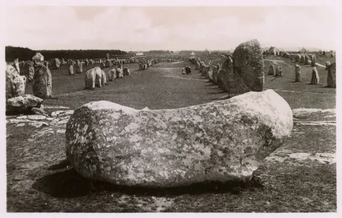 Framed Print : Standing stones at Carnac, Brittany, France Framed Print : Standing stones at Carnac, Brittany, France
