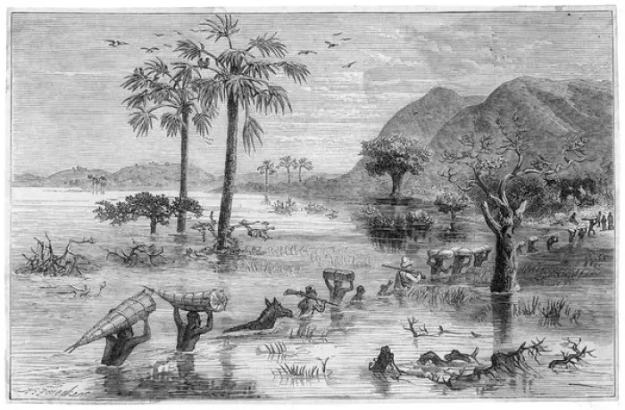 Framed Print : Stanley Searches Lake Framed Print : Stanley Searches Lake