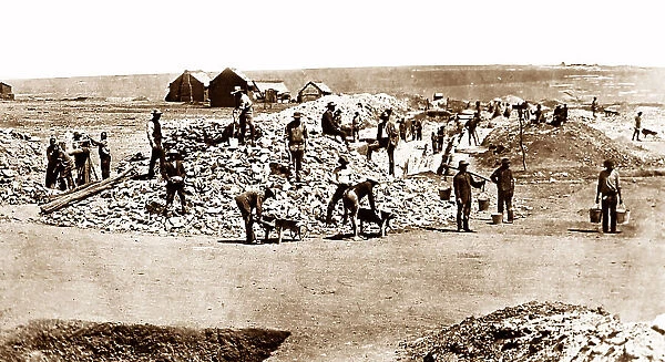 Starting a gold mine in South Africa - Victorian period