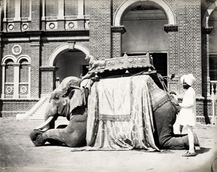 Framed Print : State Elephant of Baroda, India Framed Print : State Elephant of Baroda, India