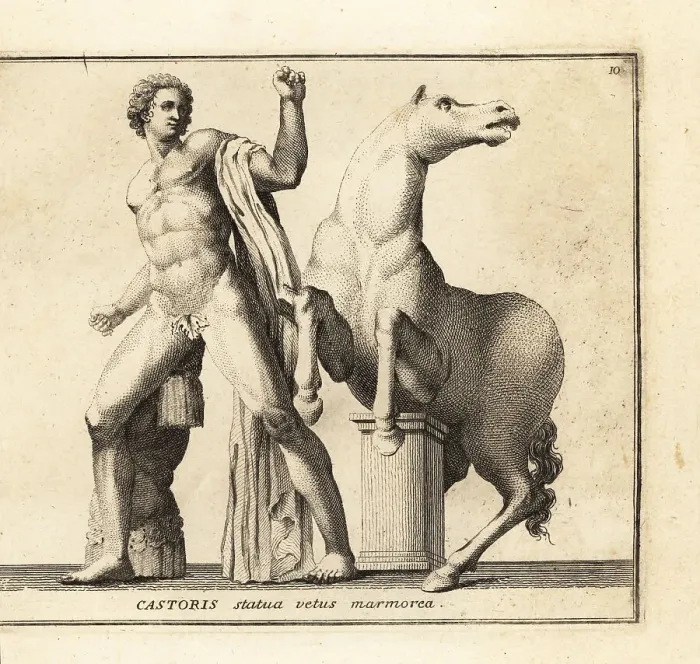 Framed Print : Statue of Castor, one of the Dioscuri, with horse Framed Print : Statue of Castor, one of the Dioscuri, with horse
