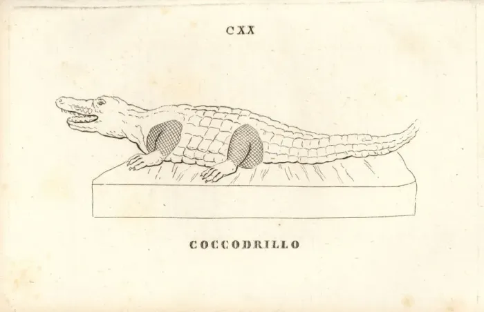 Framed Print : Statue of a crocodile Framed Print : Statue of a crocodile