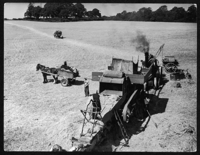 Framed Print : Steam Thresher 1930S Framed Print : Steam Thresher 1930S