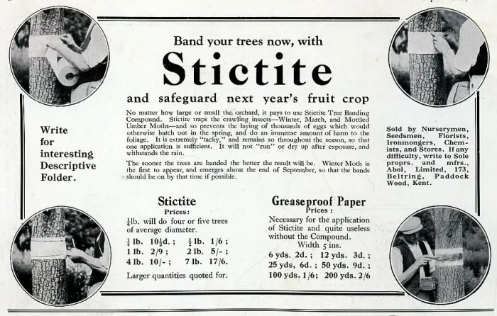 Framed Print : Stictite Advertisement Framed Print : Stictite Advertisement