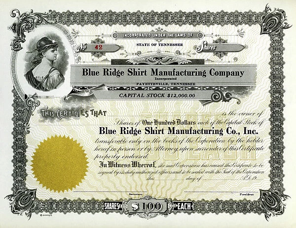 Stock Certificate Blue Ridge Corporation 