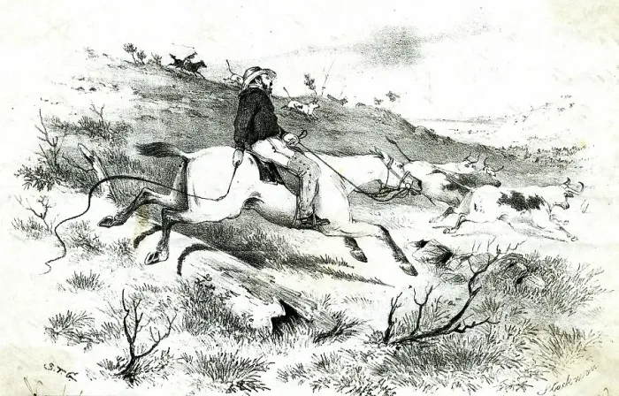 Framed Print : Stockman cattle driving in Australia Framed Print : Stockman cattle driving in Australia