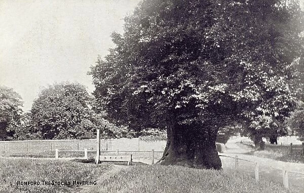 The Stocks at Havering-atte-Bower, Romford, London, England