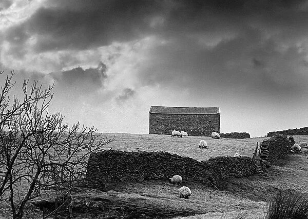 A stone barn on a farm in Coverdale in the Yorkshire Dales