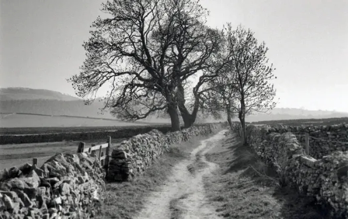 Framed Print : Stone-walled lane, Derbyshire Dales, England Framed Print : Stone-walled lane, Derbyshire Dales, England