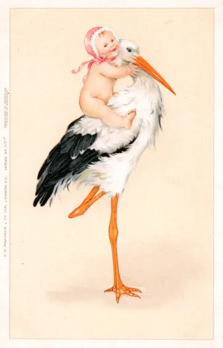 Framed Print : Stork with baby in pink on its back on a greetings postcard Framed Print : Stork with baby in pink on its back on a greetings postcard