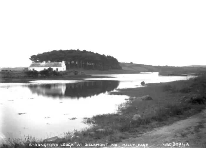 Framed Print : Strangford Lough at Delamont Nr. Killyleagh Framed Print : Strangford Lough at Delamont Nr. Killyleagh