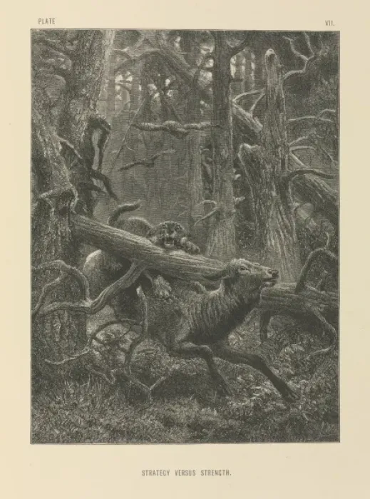 Framed Print : Strategy Versus Strength Framed Print : Strategy Versus Strength
