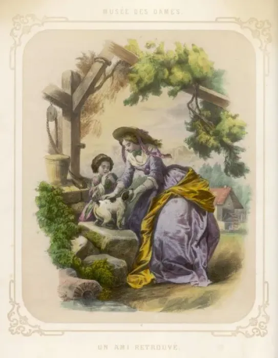 Framed Print : Stray Dog Recovered Framed Print : Stray Dog Recovered
