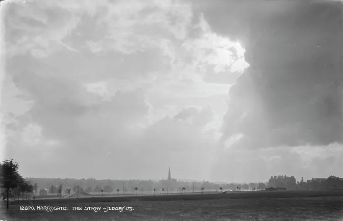 Framed Print : The Stray in Harrogate Framed Print : The Stray in Harrogate