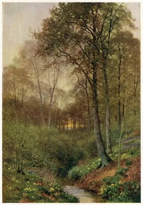 Framed Print : Stream at Brill Framed Print : Stream at Brill