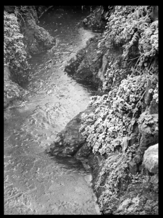 Framed Print : Stream with ice and frost Framed Print : Stream with ice and frost