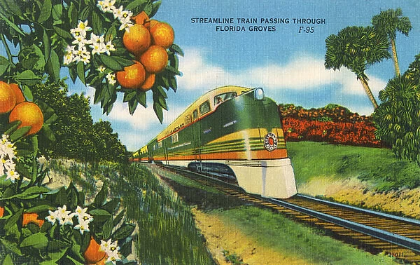Streamline Train passing through Florida Orange groves