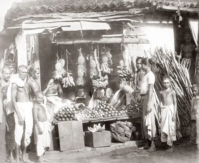Framed Print : Street fruit stall, India or Ceylon (Sri Lanka) c. 1880 s Framed Print : Street fruit stall, India or Ceylon (Sri Lanka) c. 1880 s