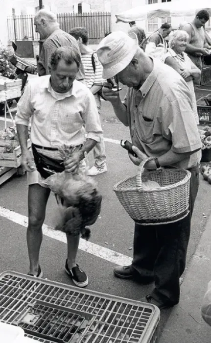 Framed Print : Street market in Sainte-Foy-Tarentaise, Savoie, France Framed Print : Street market in Sainte-Foy-Tarentaise, Savoie, France