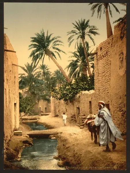 Biskra Old Town Street Print, Algeria, ca. 1899. Art Prints