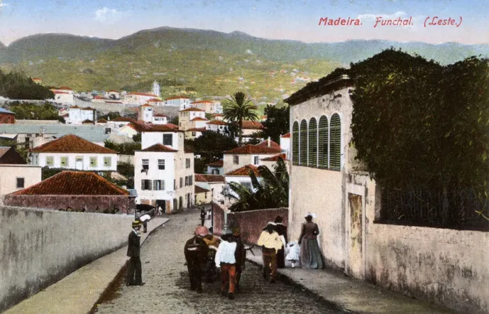 Framed Print : Street scene in Funchal, Madeira Framed Print : Street scene in Funchal, Madeira