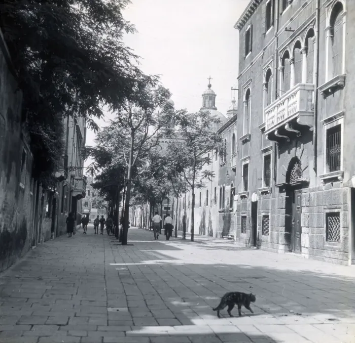 Framed Print : Street scene, Venice, Italy Framed Print : Street scene, Venice, Italy