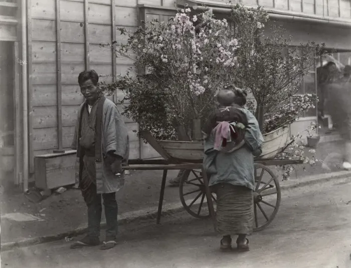 Framed Print : Street seller vendor with a barrow of flowers, Japan Framed Print : Street seller vendor with a barrow of flowers, Japan