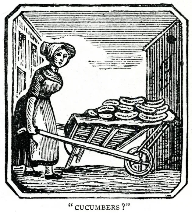 Framed Print : Street trade - cucumbers Framed Print : Street trade - cucumbers