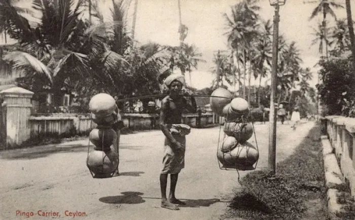 Framed Print : Street vendor with fruit and vegetables, Ceylon (Sri Lanka) Framed Print : Street vendor with fruit and vegetables, Ceylon (Sri Lanka)