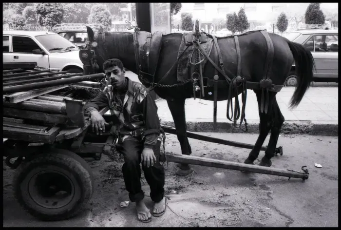 Framed Print : Street worker and horse Cairo, Egypt. Date: 1980s Framed Print : Street worker and horse Cairo, Egypt. Date: 1980s