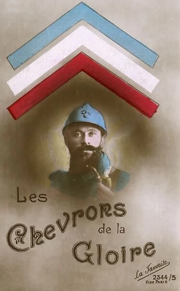 The Stripes  /  Chevrons of Glory - earned by a French Soldier