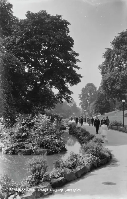 Framed Print : Stroll Through Valley Gardens Framed Print : Stroll Through Valley Gardens