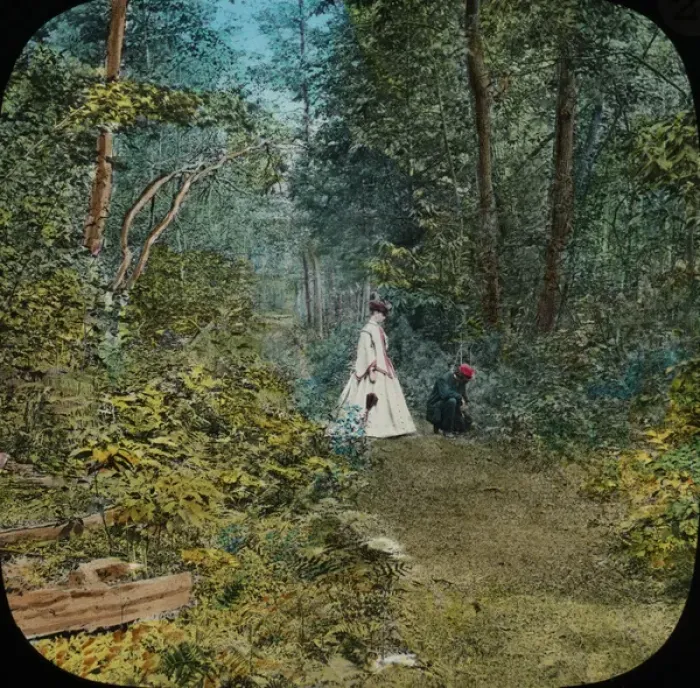 Framed Print : A stroll through the Woods at Lake George Framed Print : A stroll through the Woods at Lake George